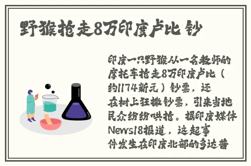 在线免费观看99视频